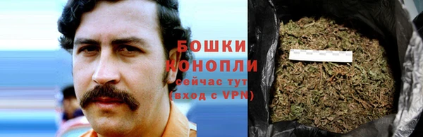 твердый Новозыбков
