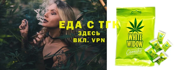 твердый Новозыбков