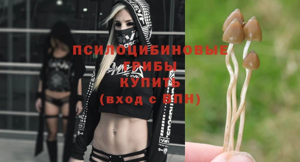 первитин Новодвинск