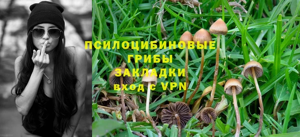 первитин Новодвинск