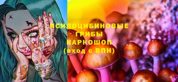первитин Новодвинск