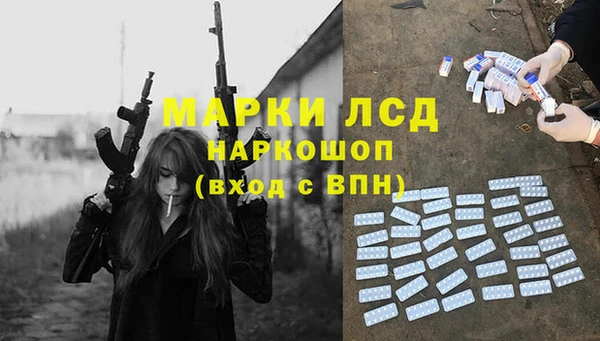 твердый Новозыбков