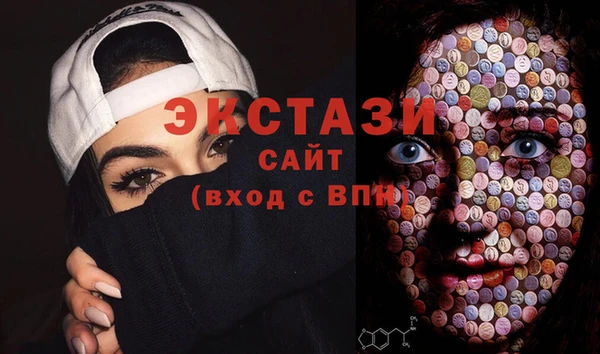 твердый Новозыбков