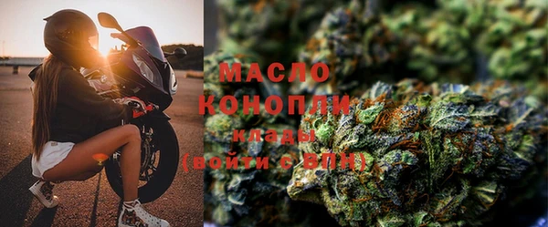 твердый Новозыбков