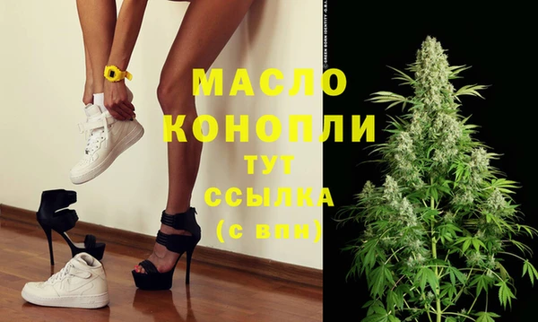 твердый Новозыбков