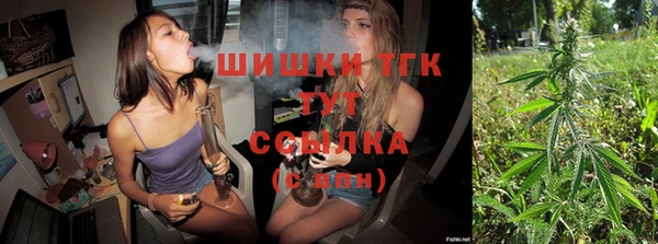 первитин Новодвинск