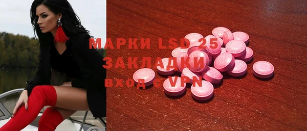 твердый Новозыбков