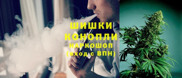 твердый Новозыбков