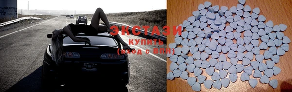 твердый Новозыбков