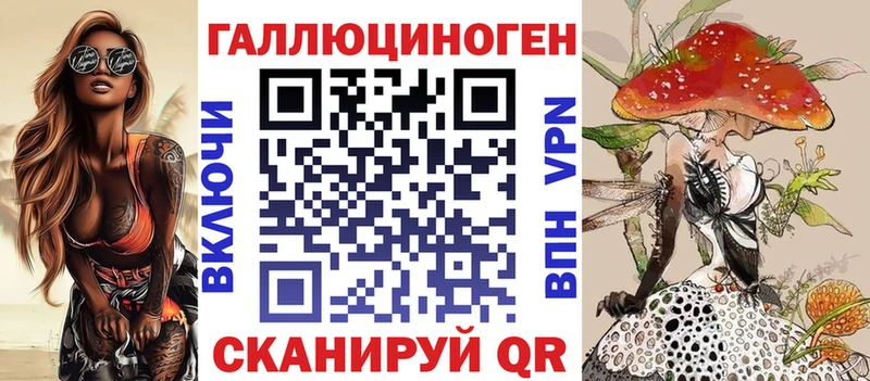 Купить  Кашира  Галлюциногенные грибы Psilocybe 
