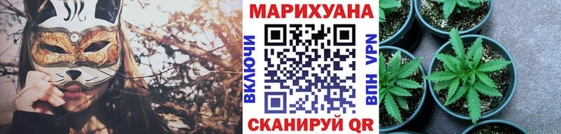 Купить закладки  Кашира  МАРИХУАНА сатива 